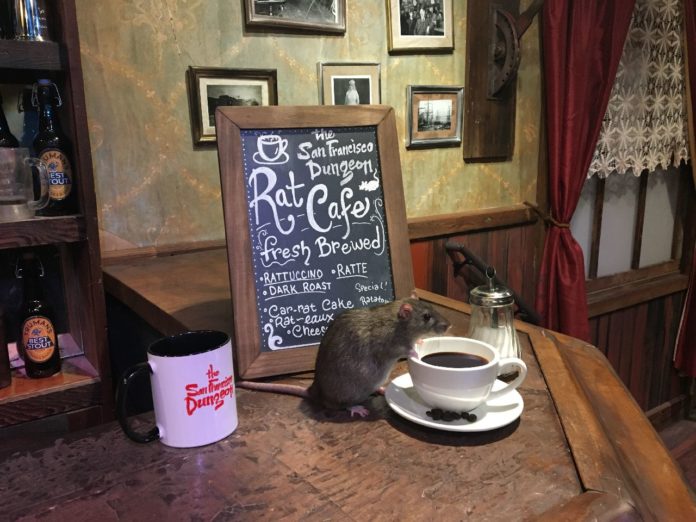 Rat Cafe Rat Cafe opens in San Francisco