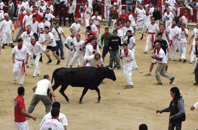 San Fermin Running Of The Bools