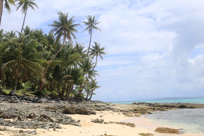 Siargao beach rocks and palm trees Siargao beach rocks and palm trees