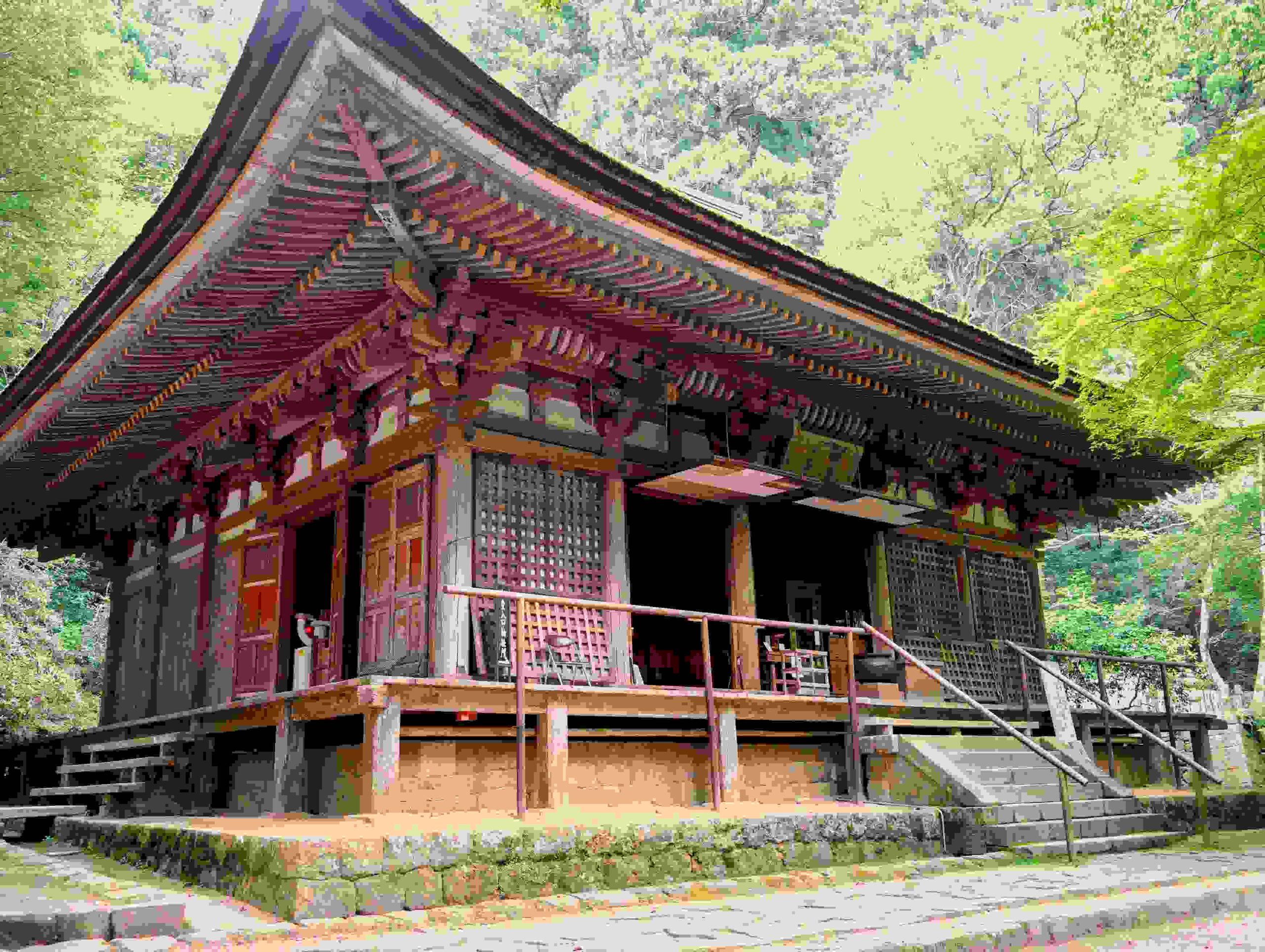 Japonya'nın Nara Eyaleti etrafına bir bakış