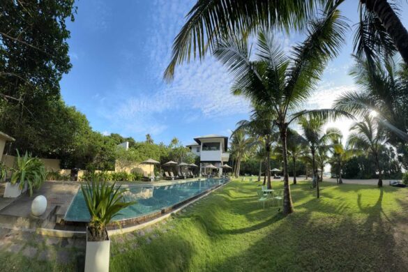 Pool and palms at Calamansi Cove Villas