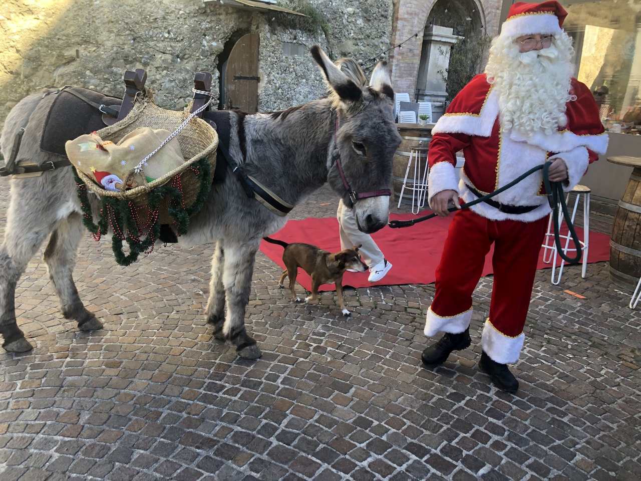 Roquebrune Xmas c Lisa Gerard-Sharp