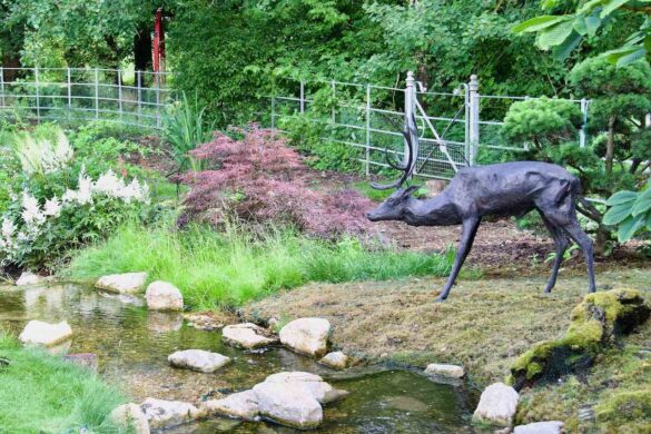 A Deer in the Oriental Garden at Houghton Lodge and Gardens