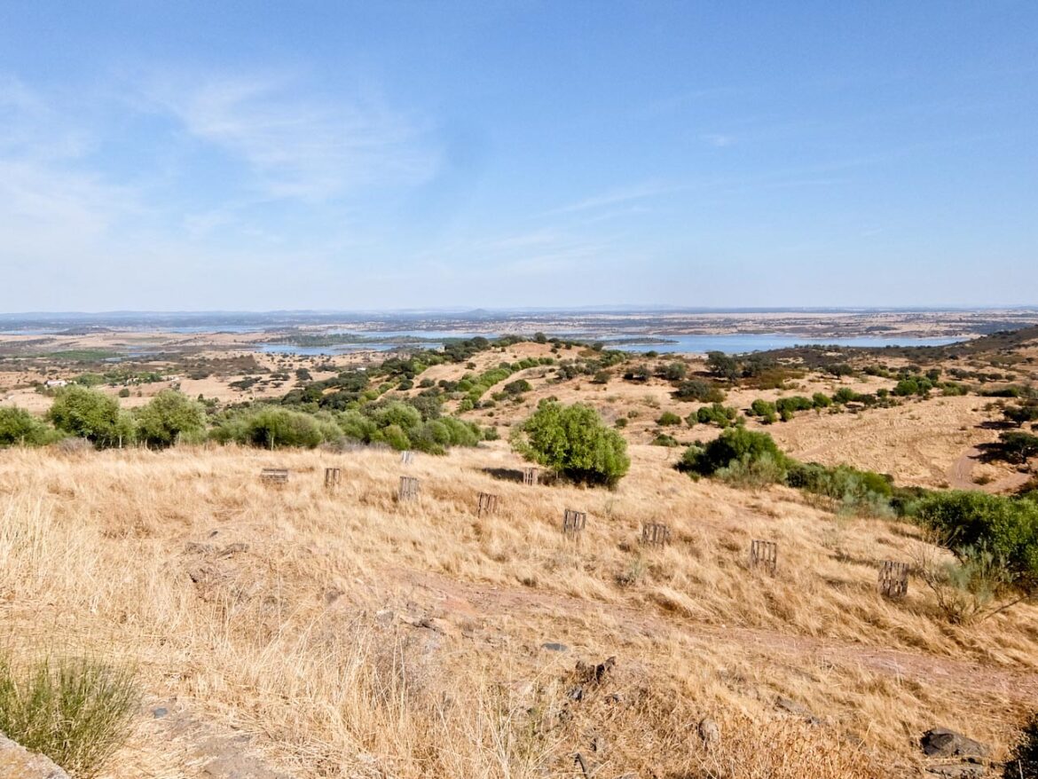 Alentejo Plains