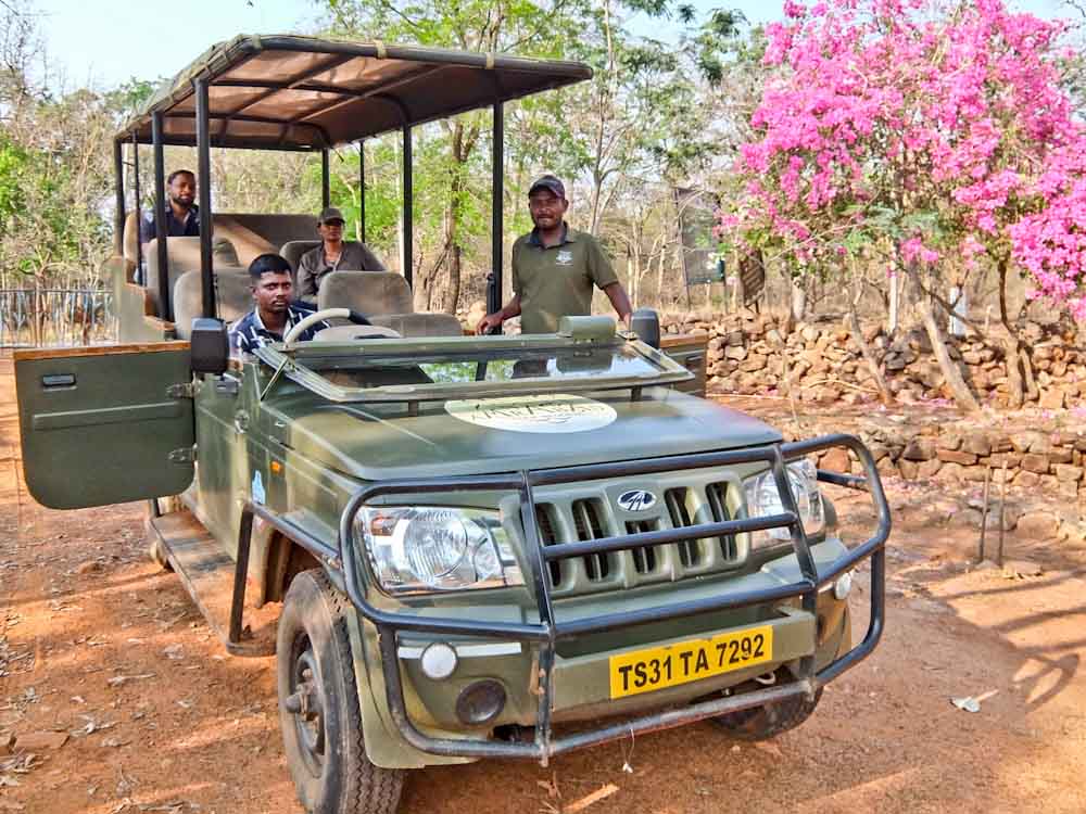 Amarad Tiger Reserve Jeep