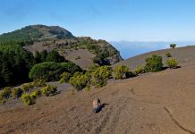 Walking El Hierro, Canary Islands, Spain Ash trail