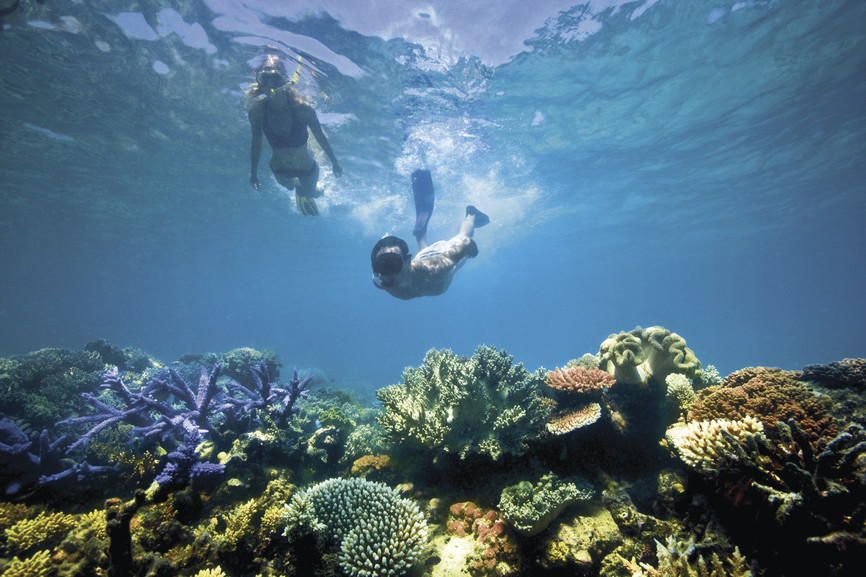 Lizard Island, Great Barrier Reef, QLD