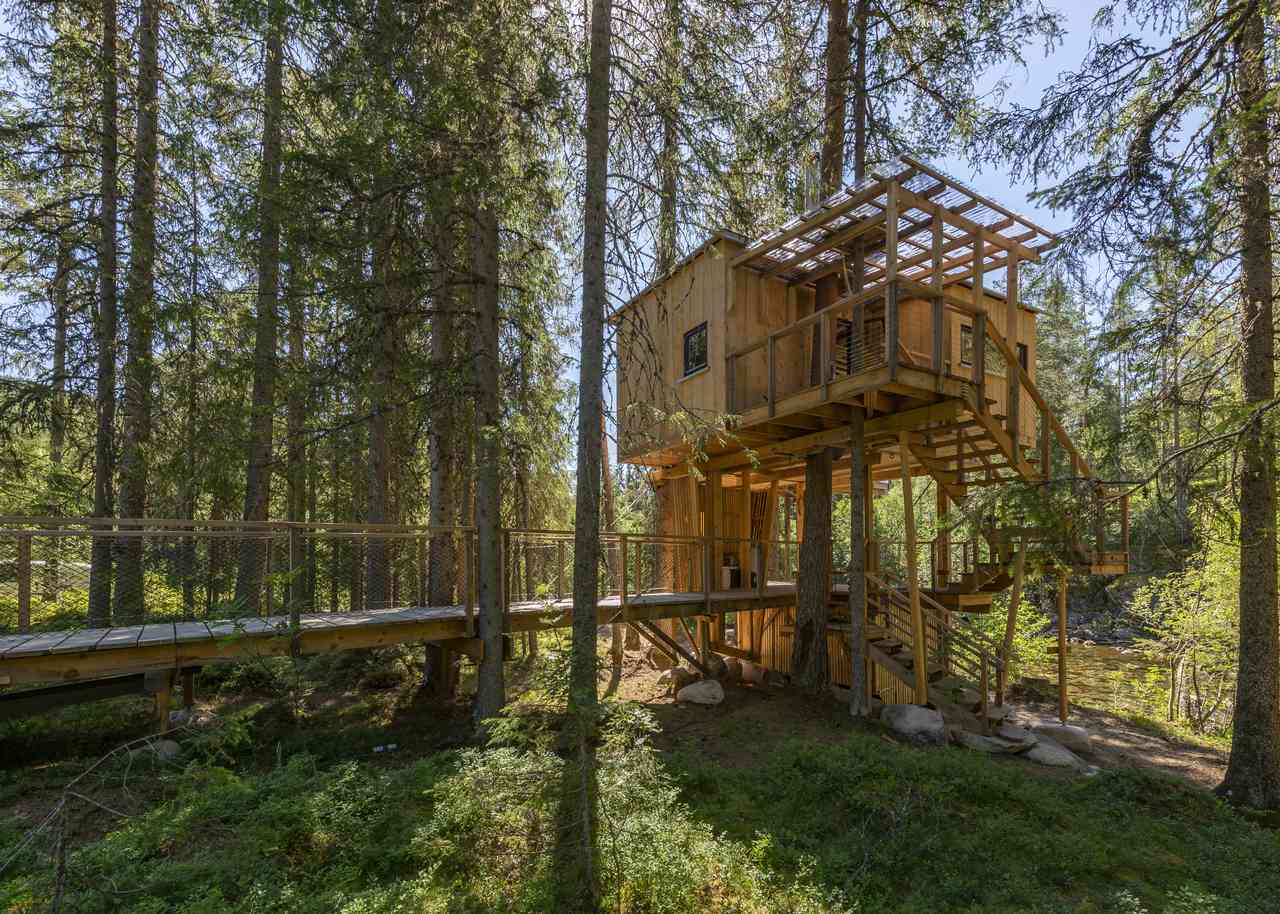 Å Auge Treetop House 3 - Photo - Aacamp.com