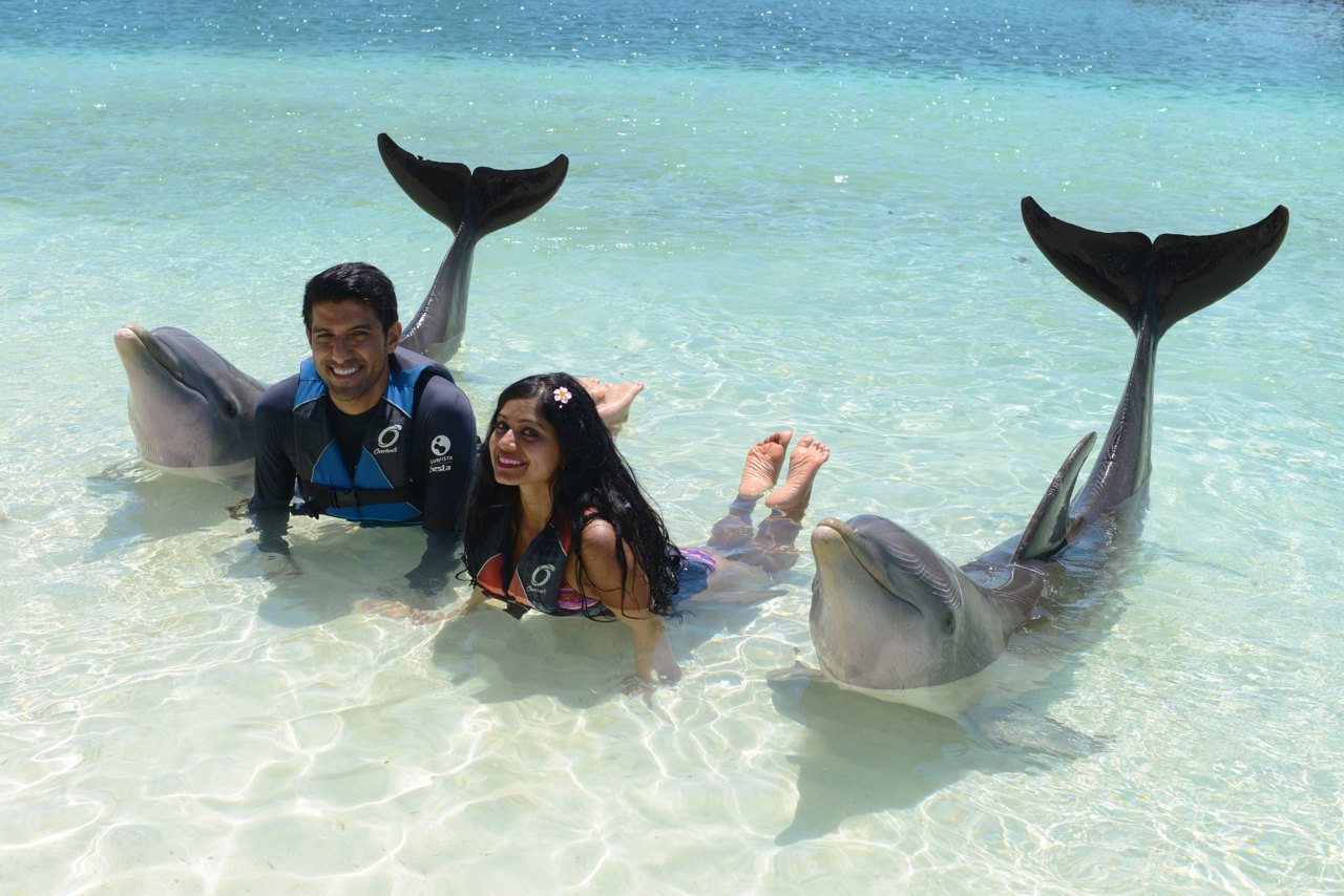 Bahamas Meet the Dolphins at Blue Lagoon