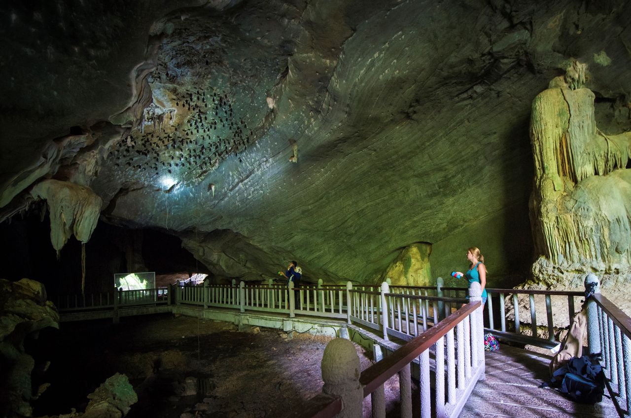 Bat Caves