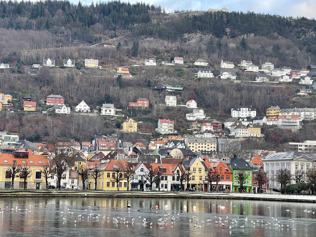 Bergen, Norveç