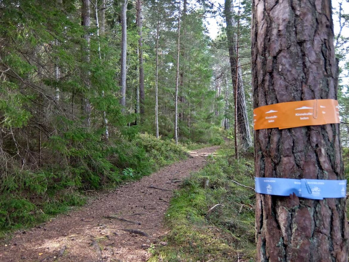 Biosphere Trail