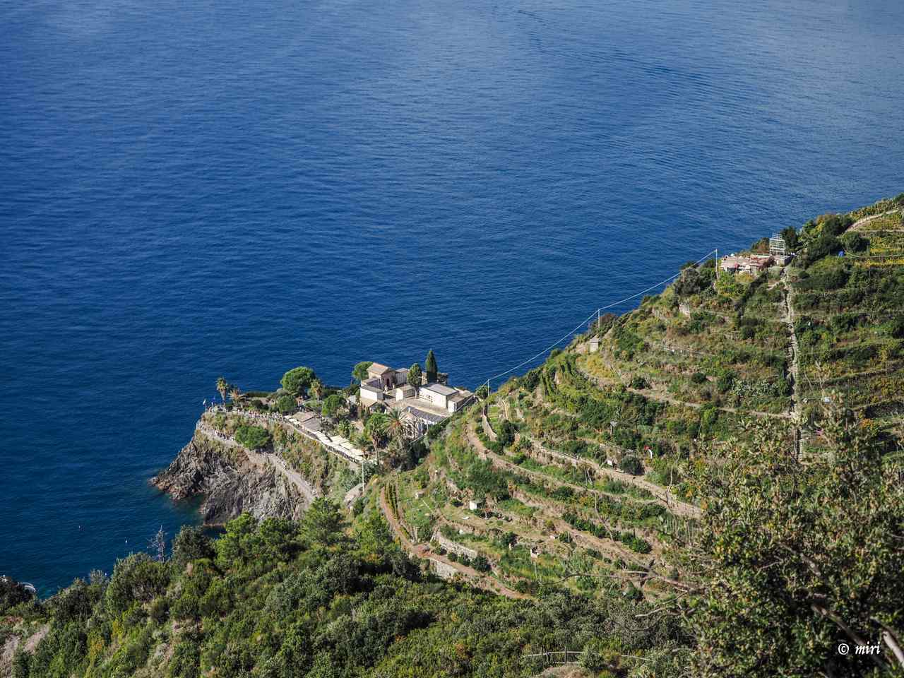 Cinque Terre terraces c Cinque Terre Riviera