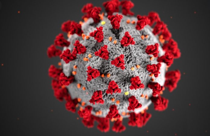 Coronavirus COVID-19 Coronavirus COVID-19
