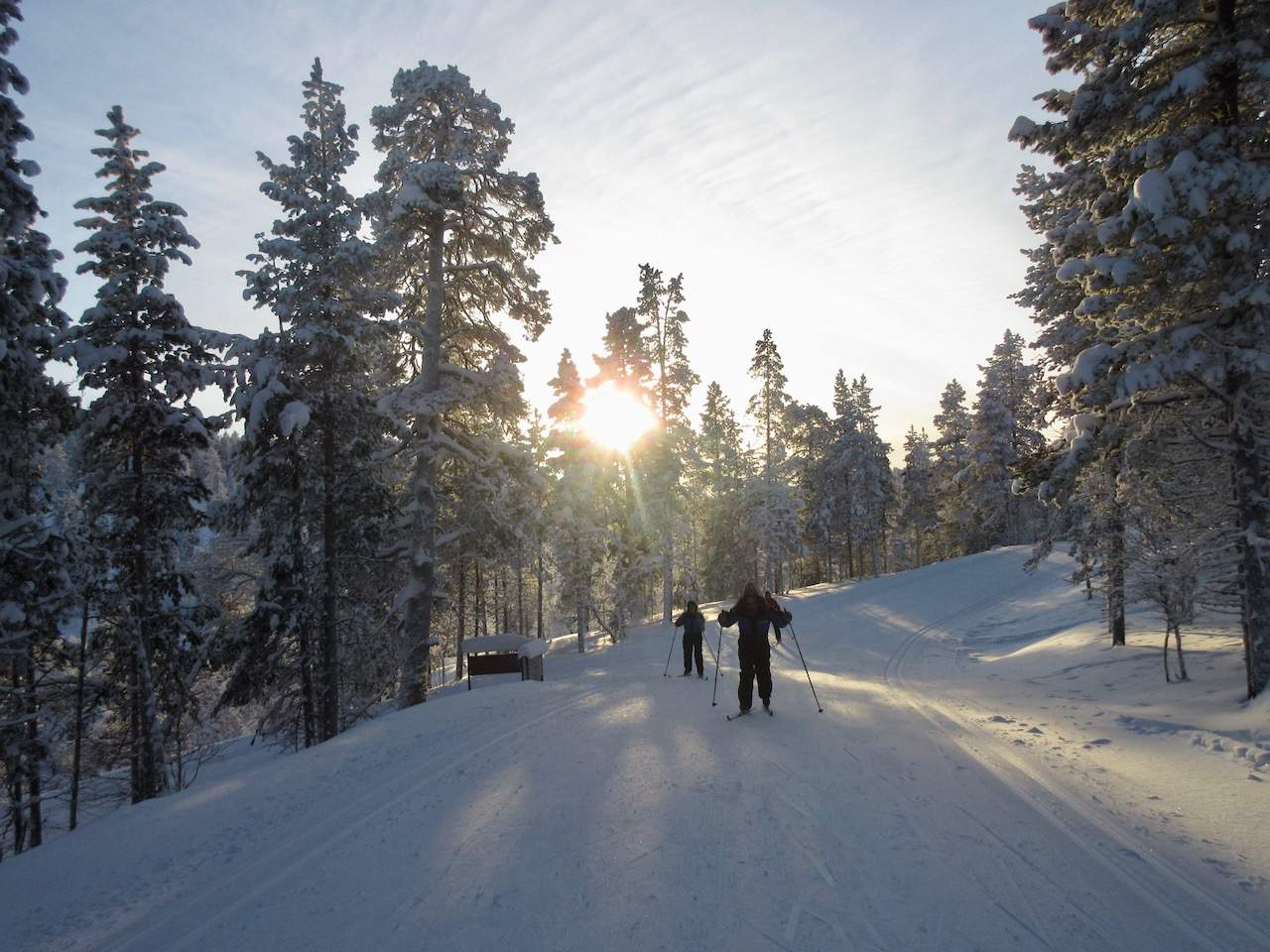 Cross Country Skiing in Lapland