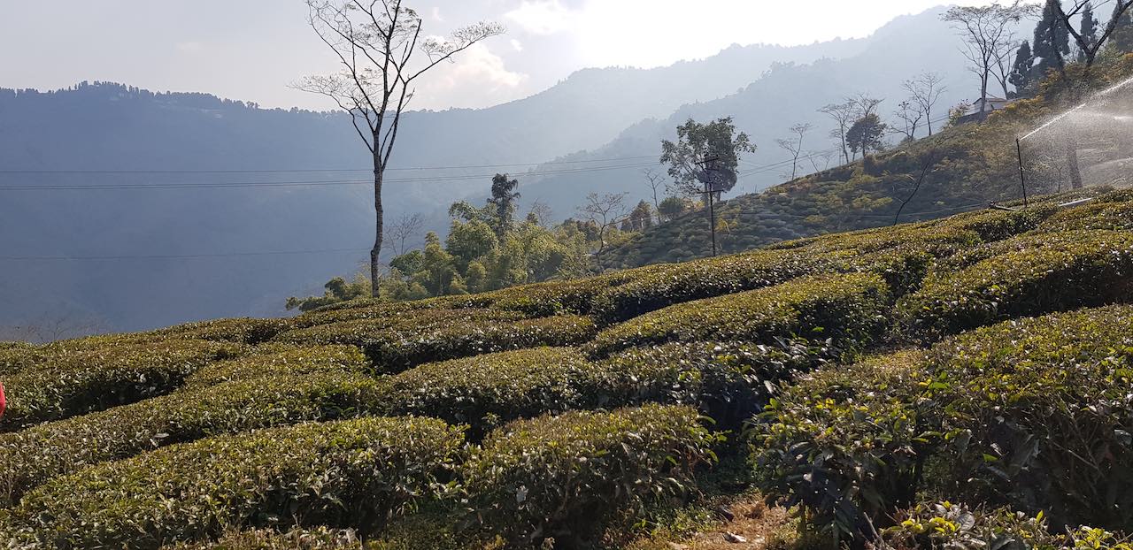 Exploring Darjeeling, West Bengal – A 2-day Itinerary
