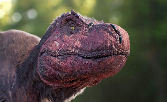 Dinosarus in the Wild reveal a Tyrannosaurus Dinosarus in the Wild reveal a Tyrannosaurus