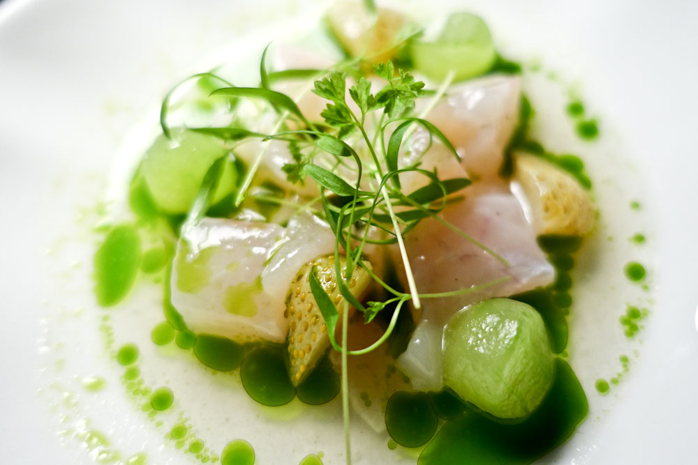 Dish 1