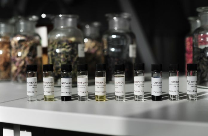 Botanical experience in Dorset