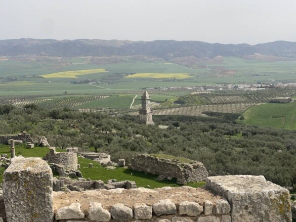 Douga ruins surrounded by lush green