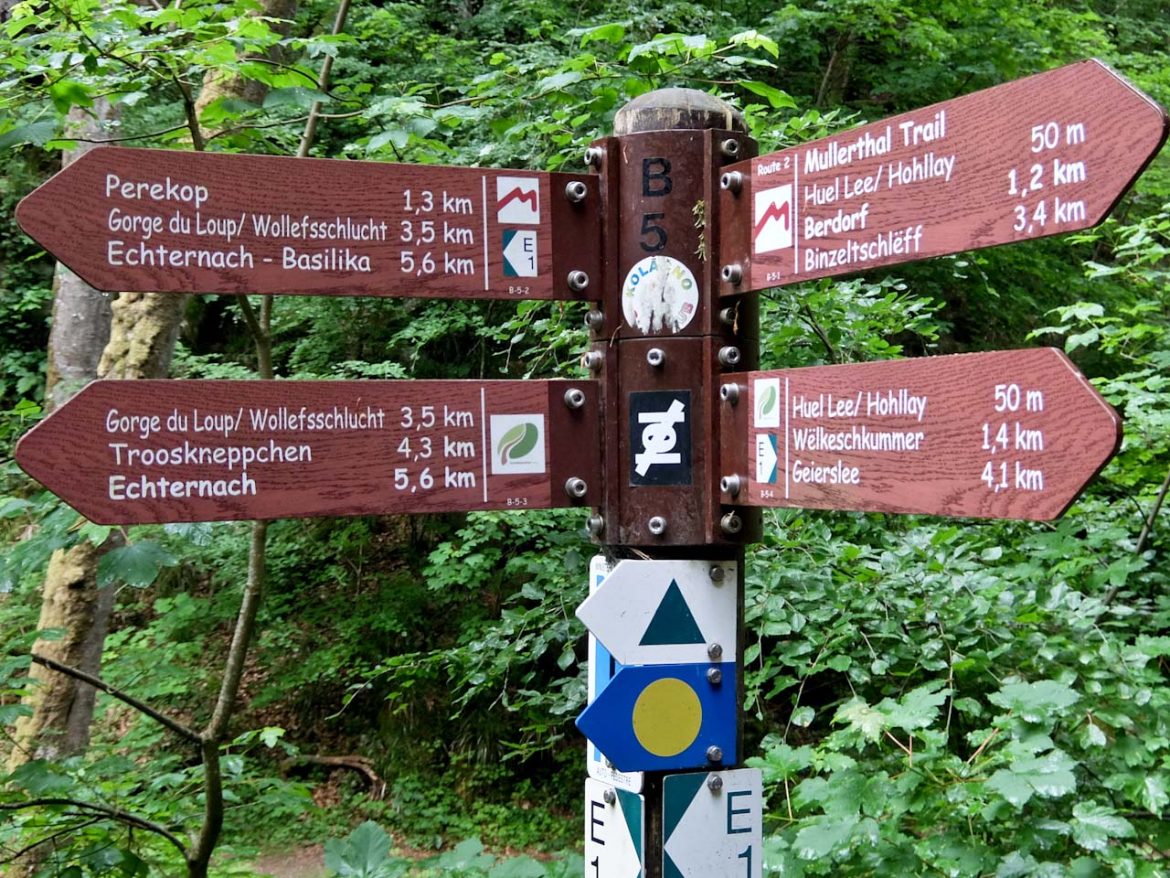 Walking Signposts