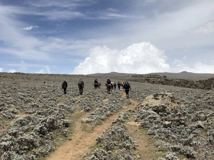 Ethiopia trekking Ethiopia trekking