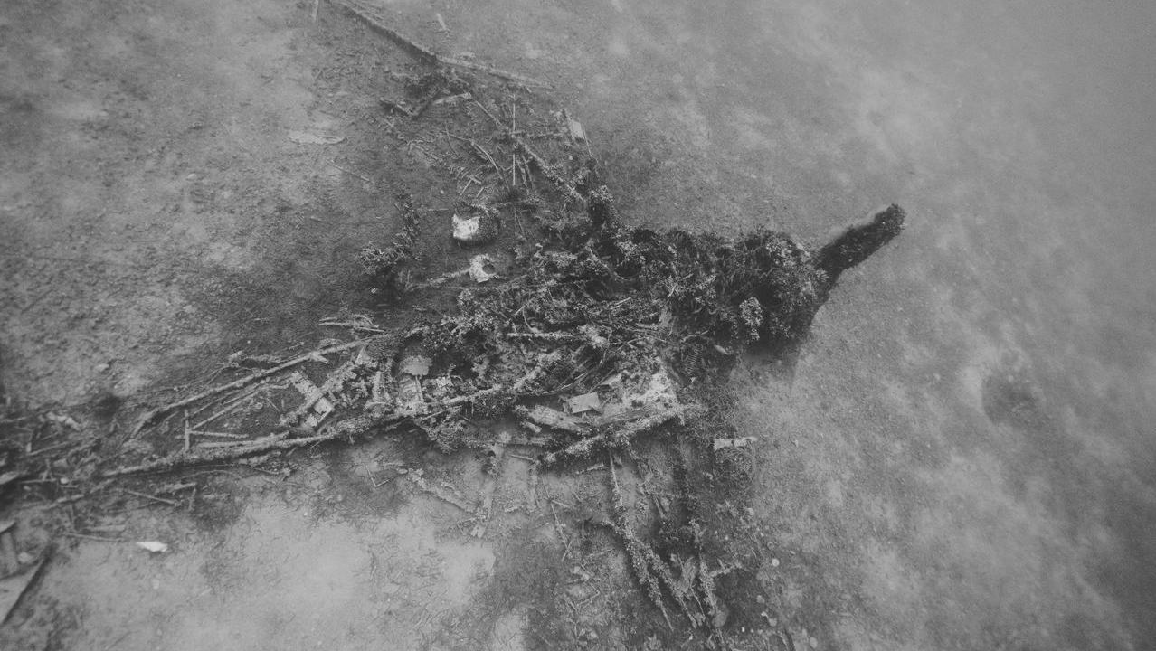Fairey Swordfish wreck