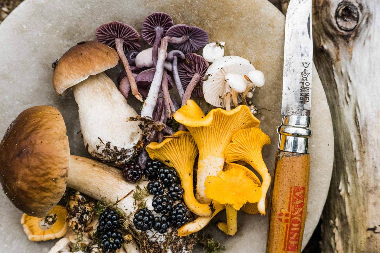 The Farmers Arms restaurant is a farm-to-table treat in North Devon