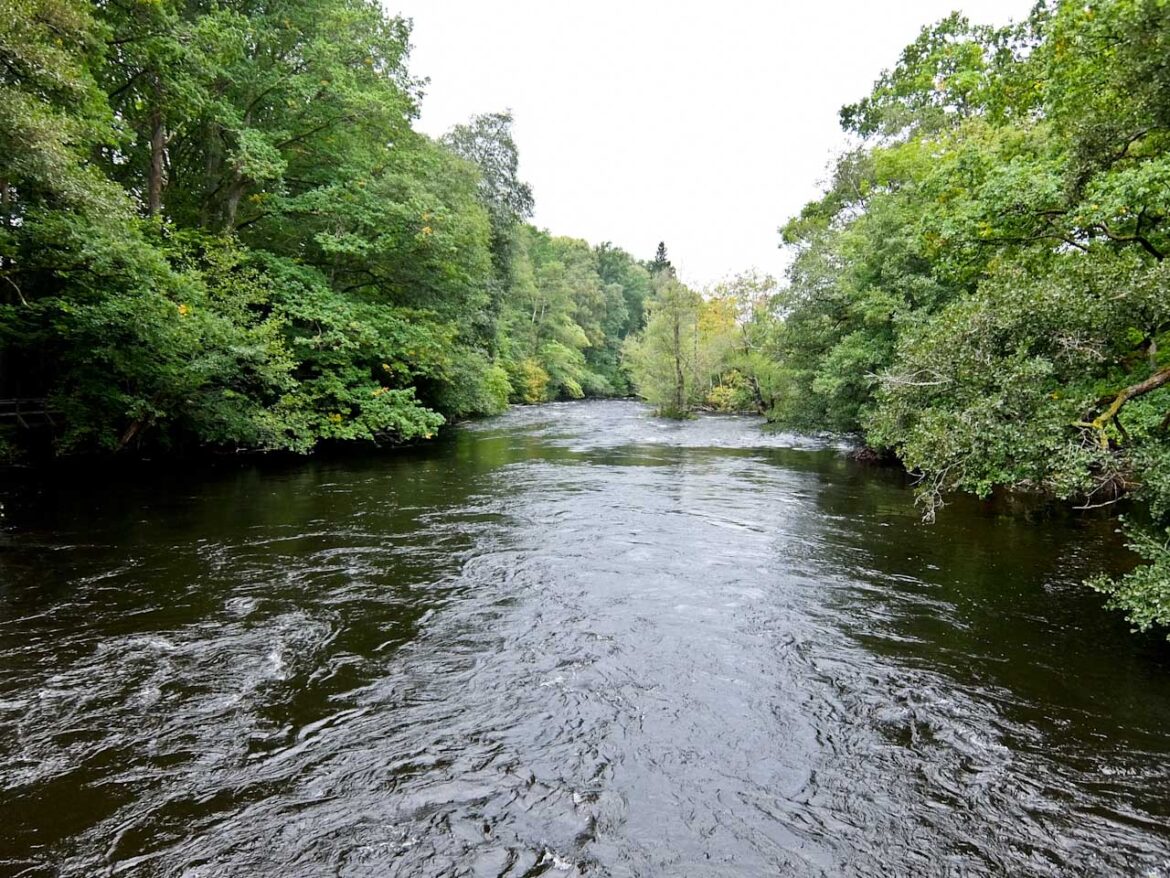 Fast flowing Säveån river