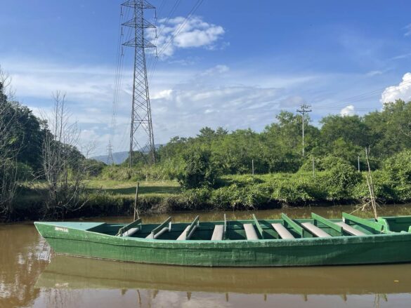 Flat bottom boat at Caroni Swamp