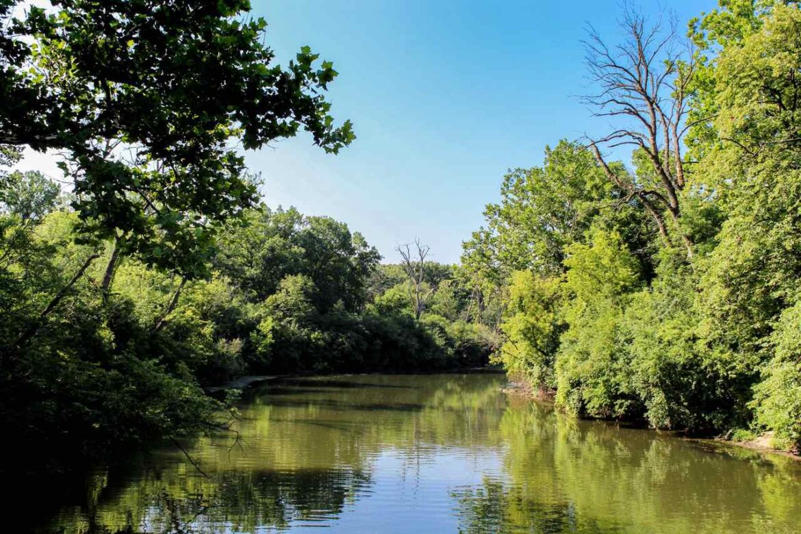 Fullersburg Woods Forest Preserve