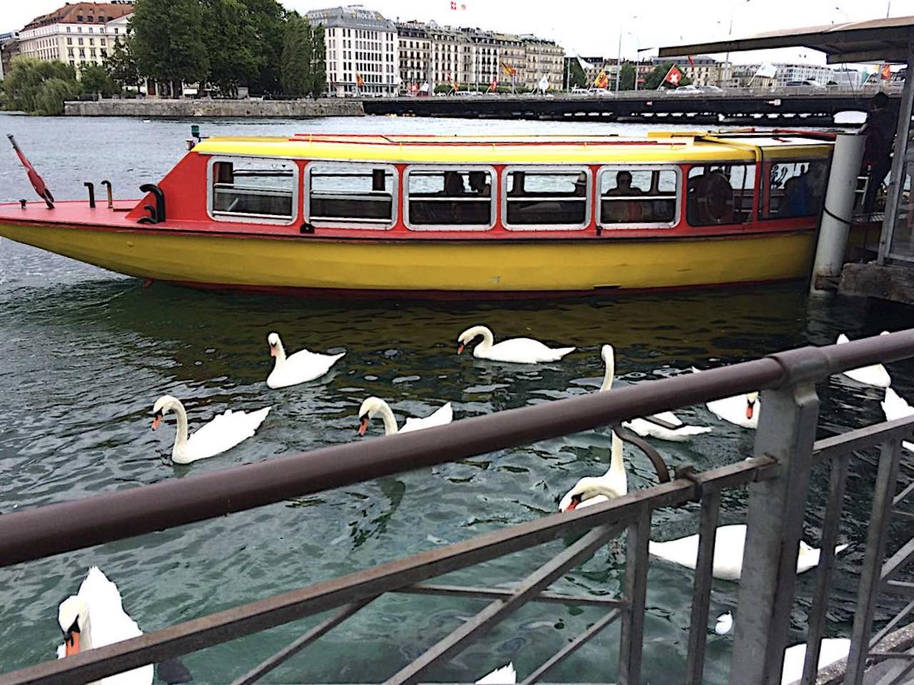 Geneva red water taxi © B.Watts