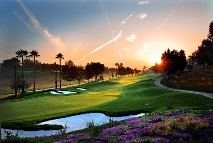 Greater Palm Springs sunset