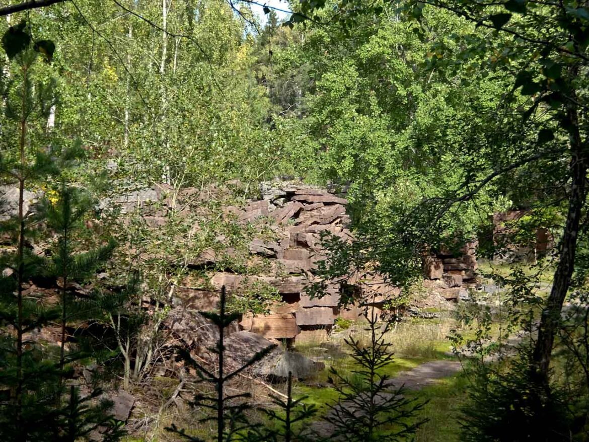 Gröne Skog