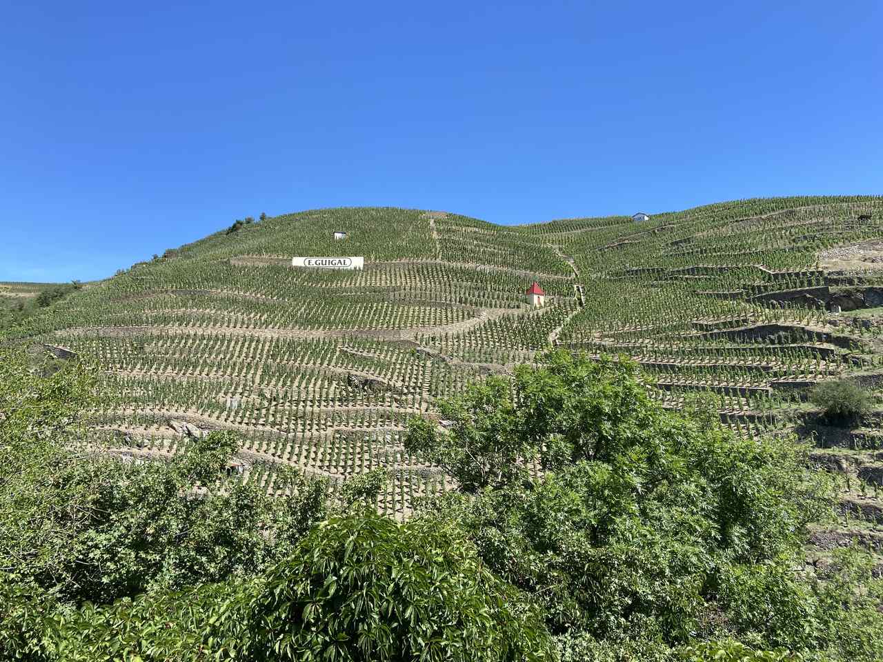 Guigal vineyard