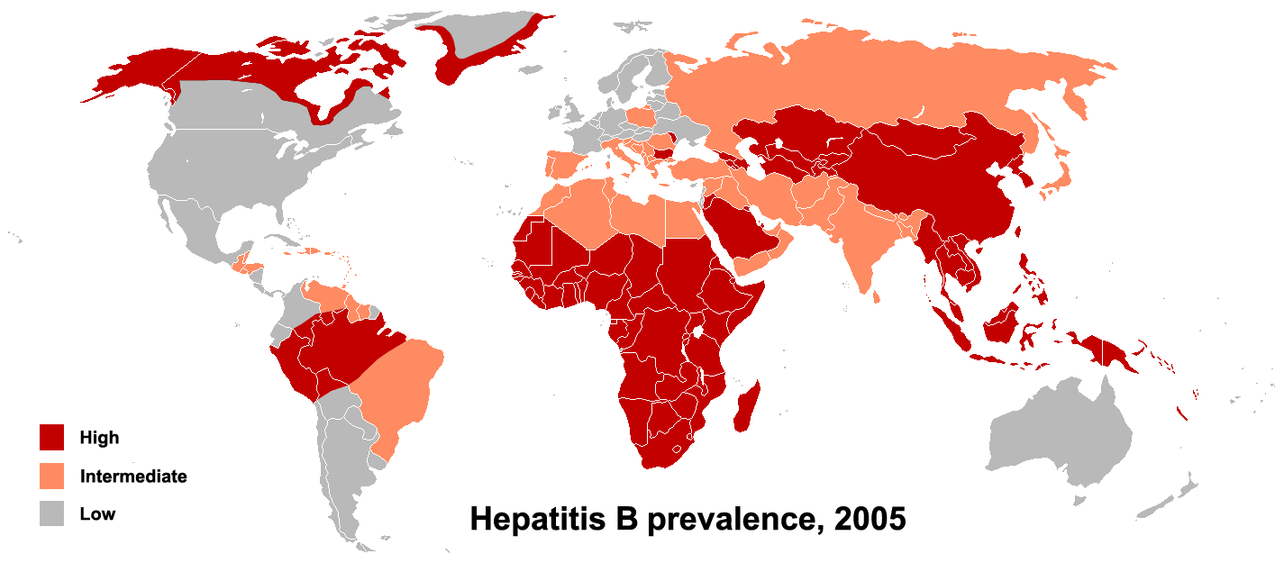 Hepatitis B - prevalence 2005