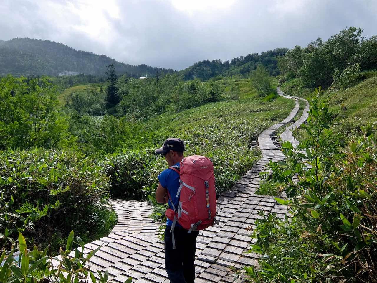 Hiking from Tateyama - Boardwalk Wetlands