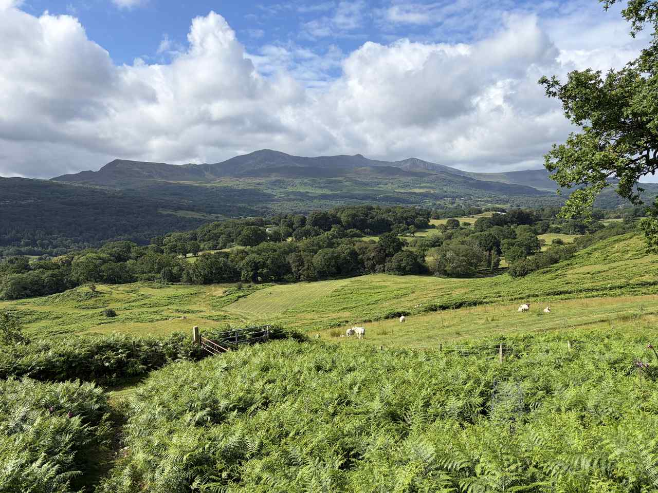 Guide walking in southern Snowdonia