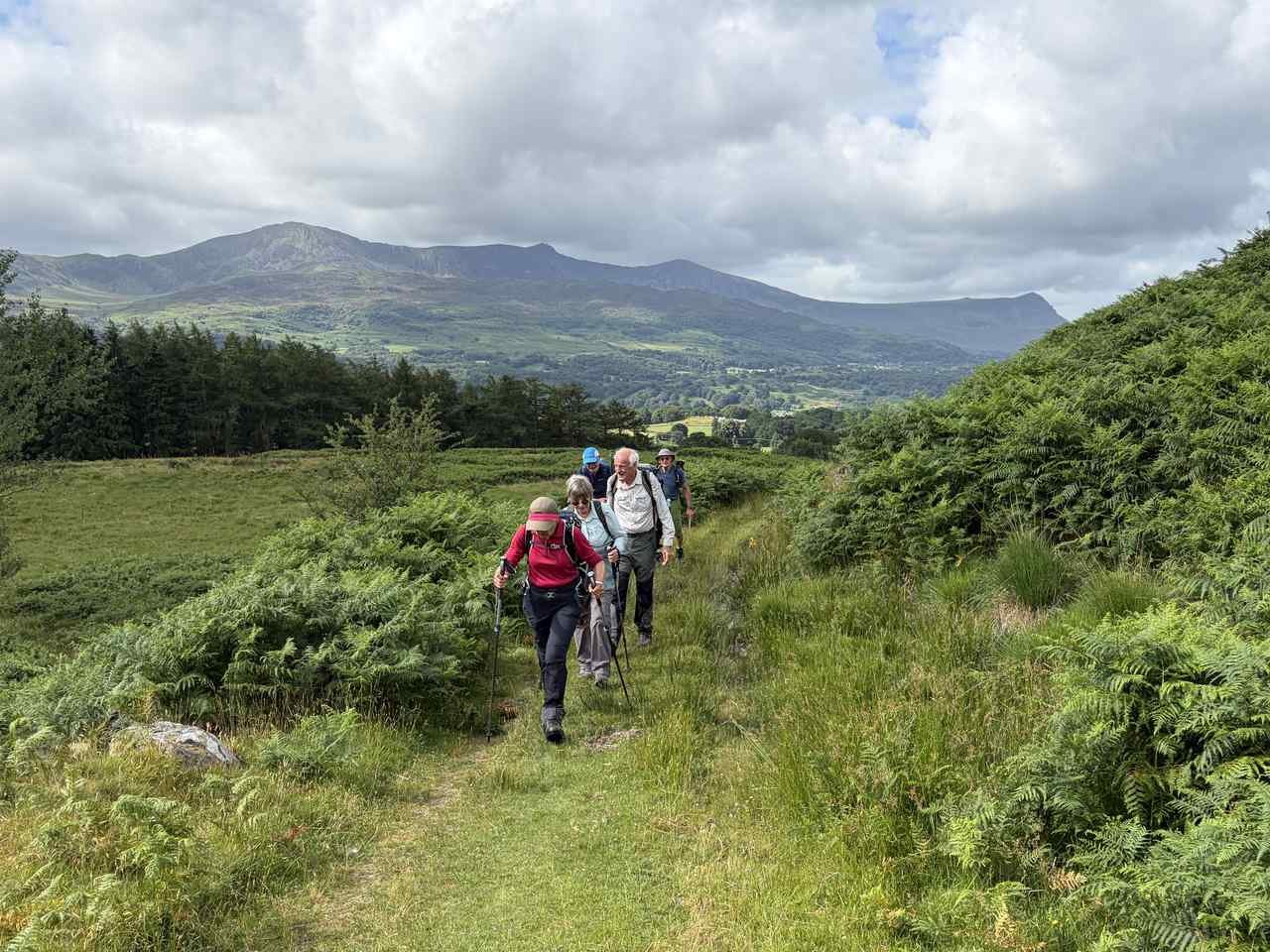 On the trail