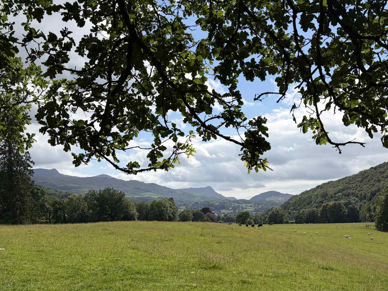 View from Dolserau Hall