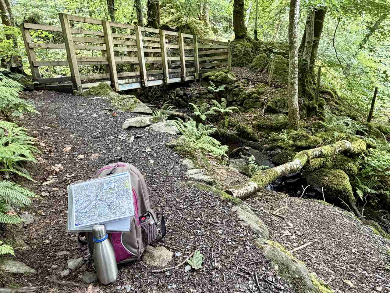 Torrent Walk