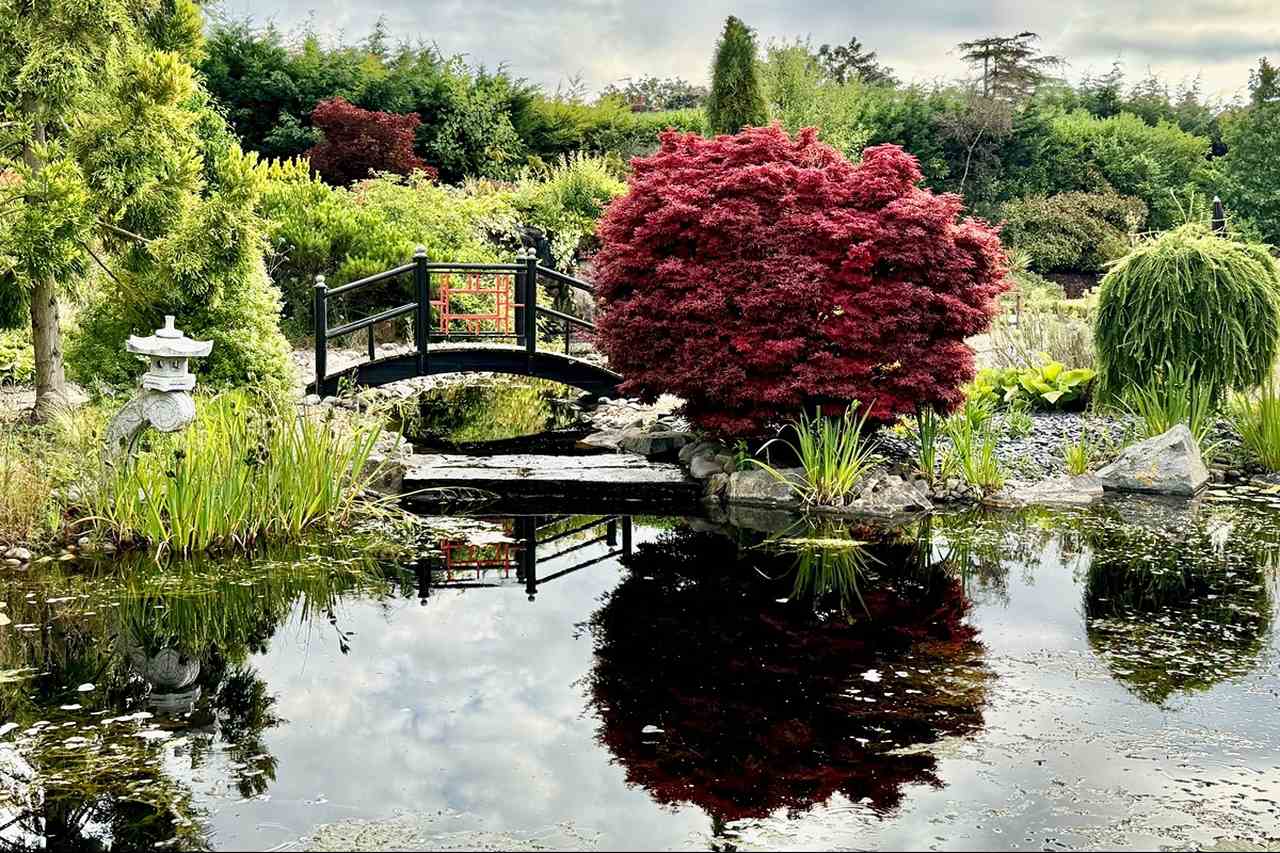 Japanese Garden at the Grosvenor Pulford Hotel & Spa
