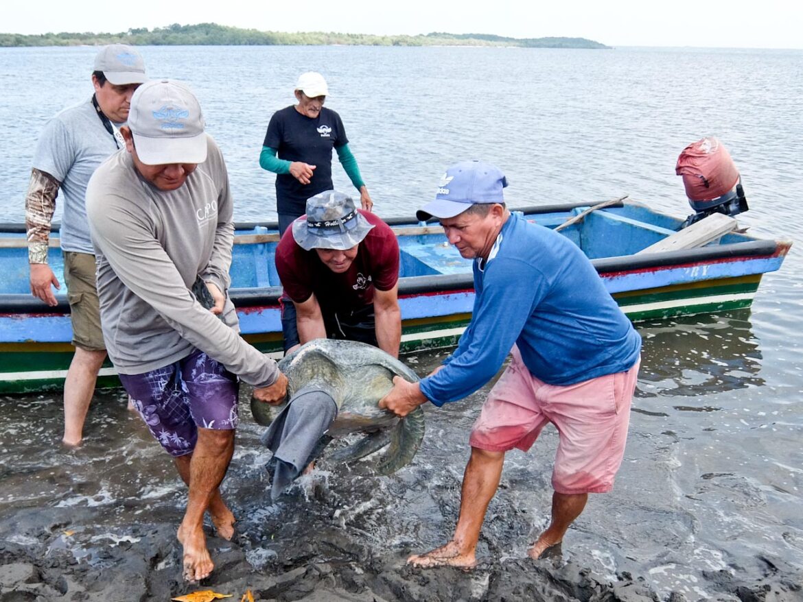 Jiquilisco Bay Turtle Team Beach