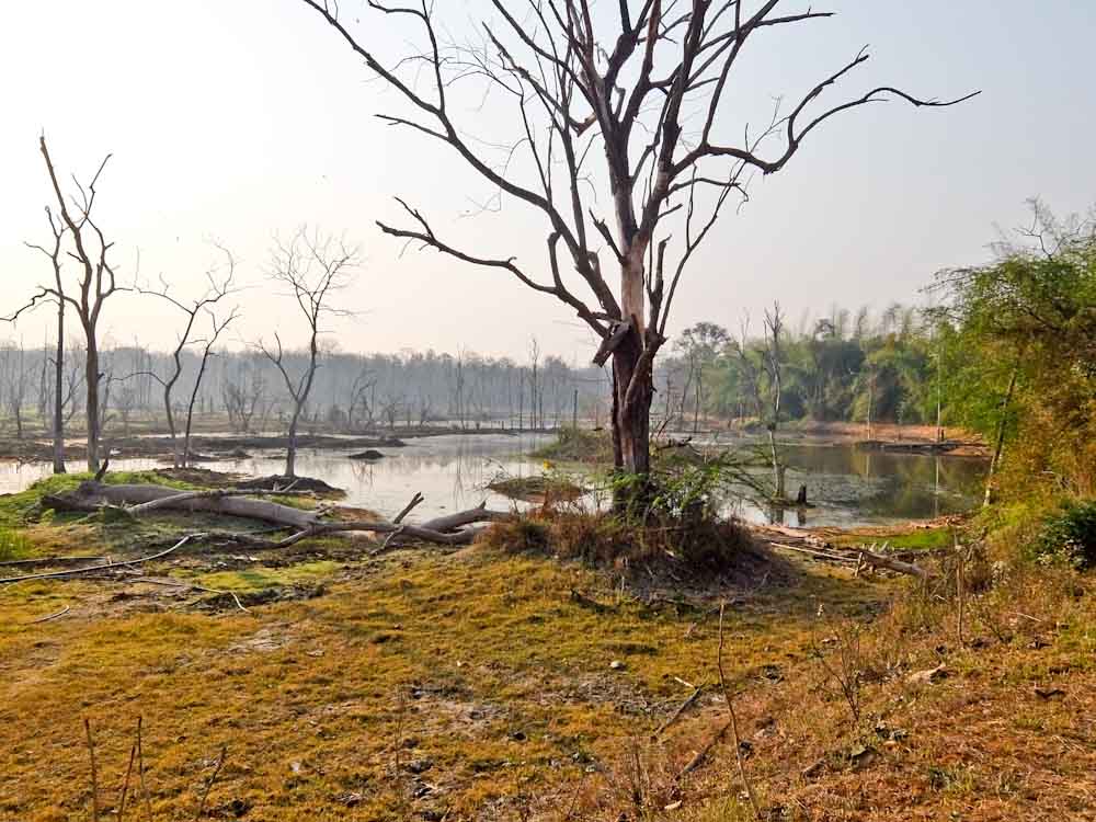 Kawal Tiger Reserve Pond