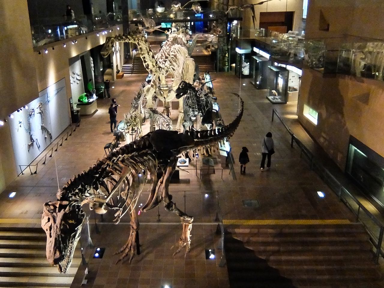 Kitakyushu Natural History Museum