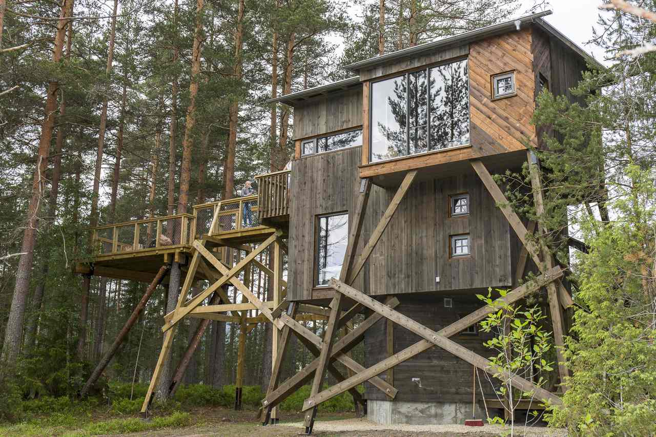 Kråkeslottet, Treehouse