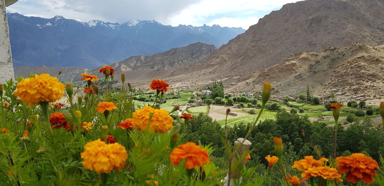 Ladakh_YellowWoodAdventures