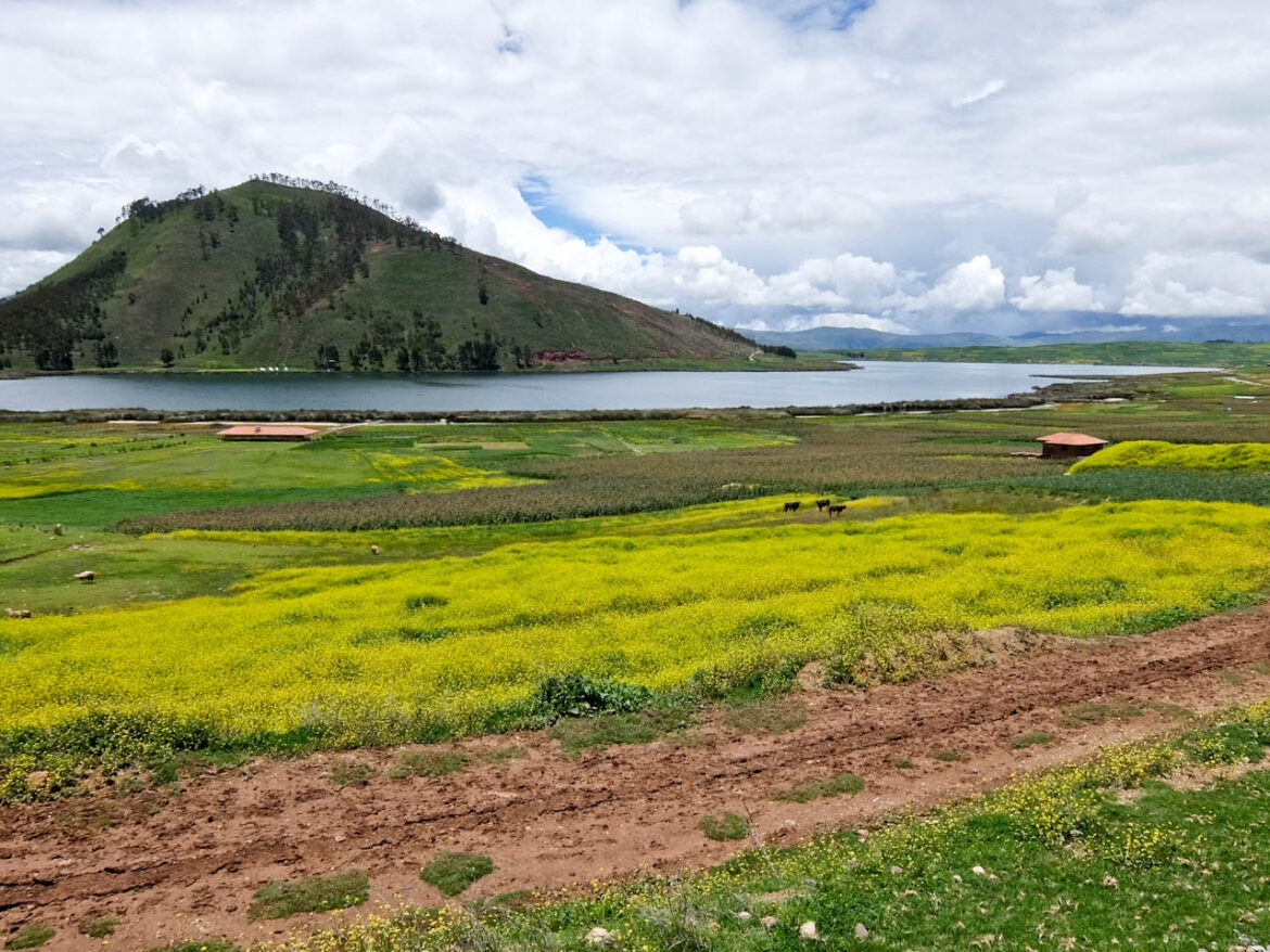 Lake Huaypo Colours