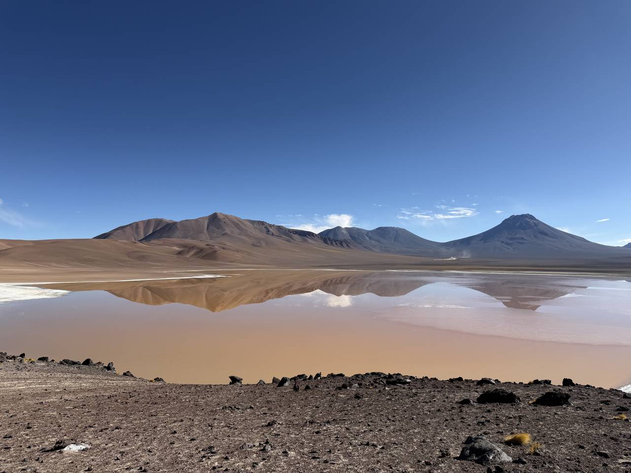 Laguna Lejía is a stunning, high-altitude salt lake in Chile's Atacama Desert