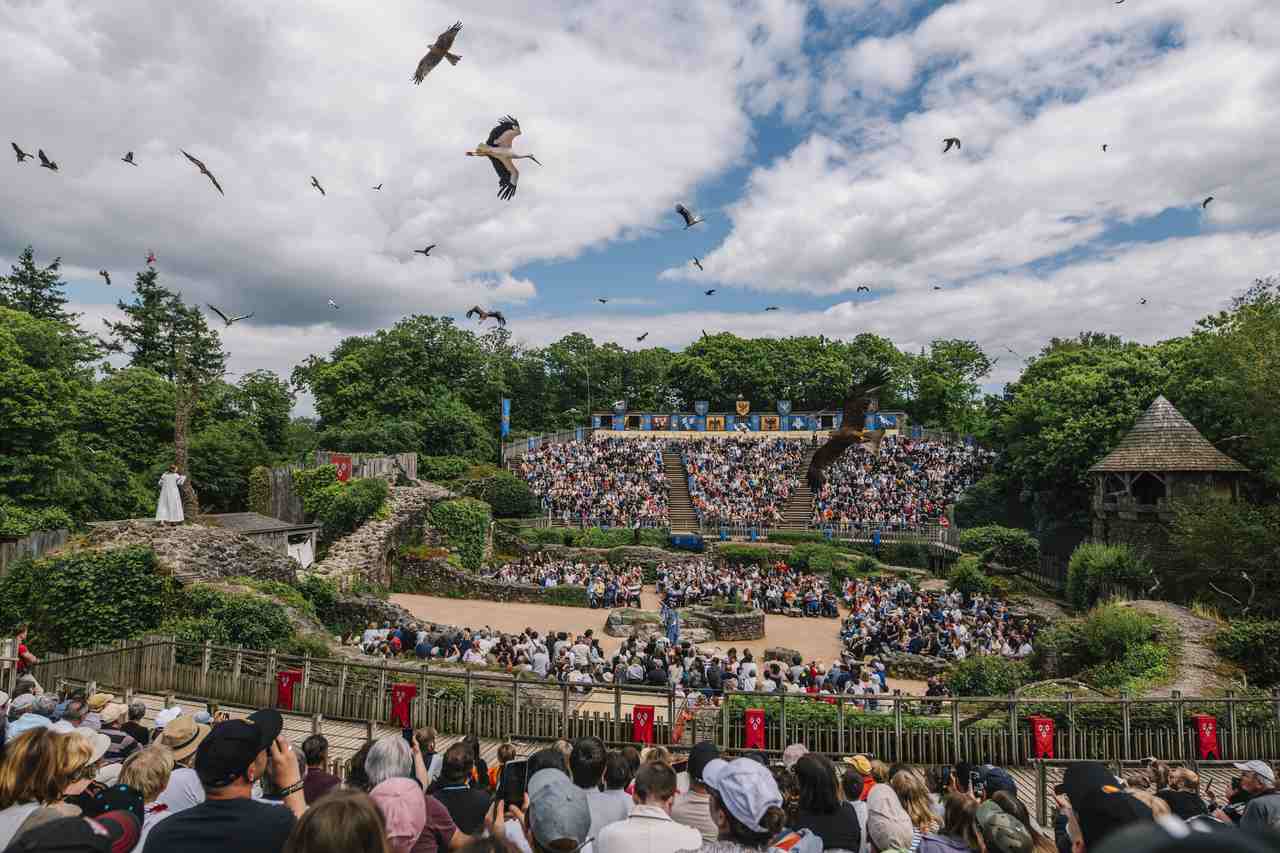 Le Bal des Oiseaux Fantomes ©Apolline Cornuet